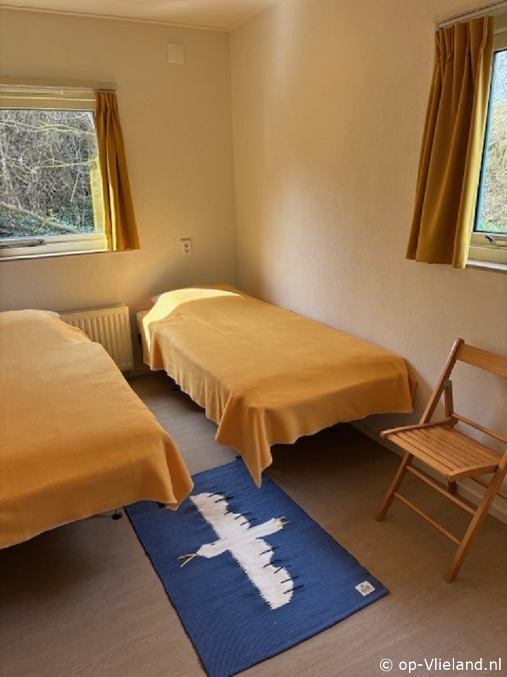  De Dwaas